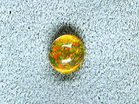 �W���G���[ ���t�H�[��