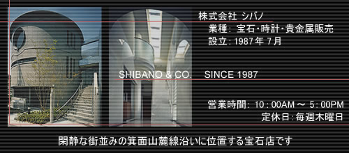 �W���G���[���E�H�b�` �V�o�m �c�Ǝ���