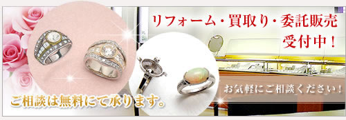 �W���G���[���t�H�[���A�����A�ϑ��̔���t��